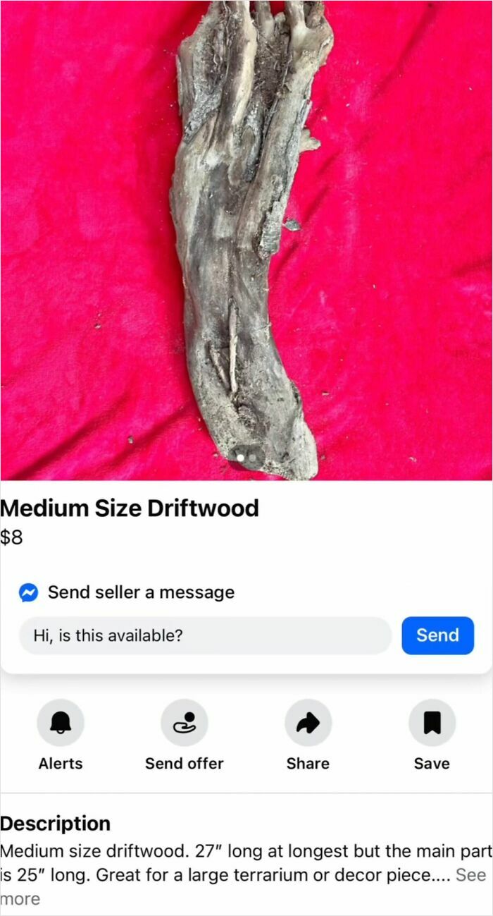 Medium size driftwood piece on red background listed on FB Marketplace