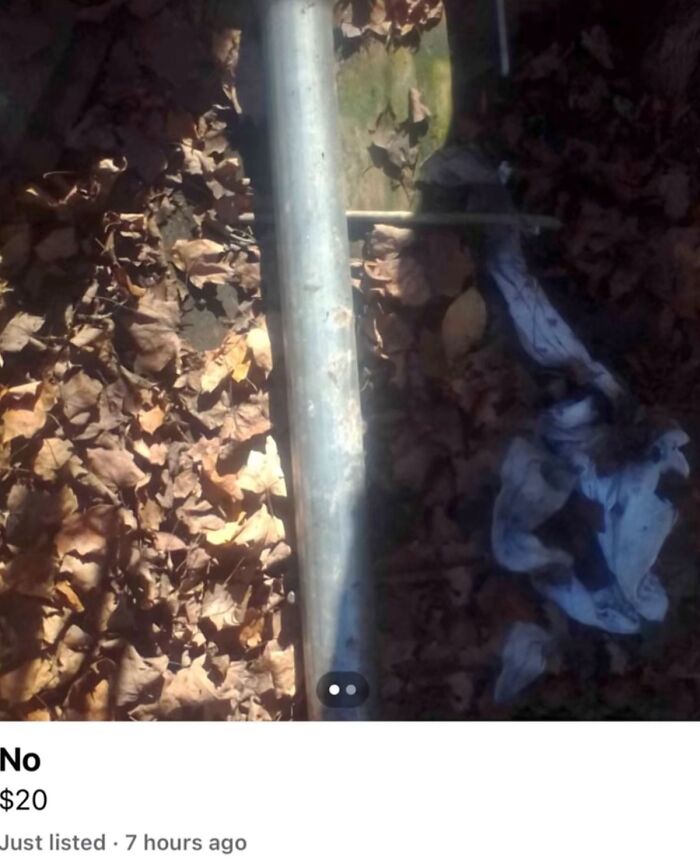 Metal pipe with cloth on ground covered with leaves FB Marketplace find