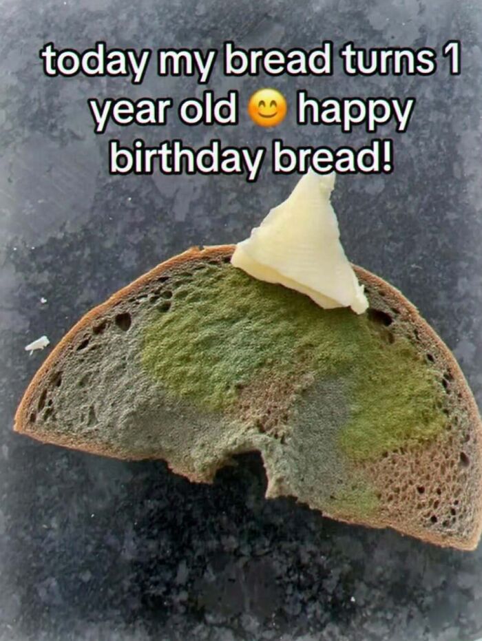 Moldy bread with slice of butter and birthday message, weird random image