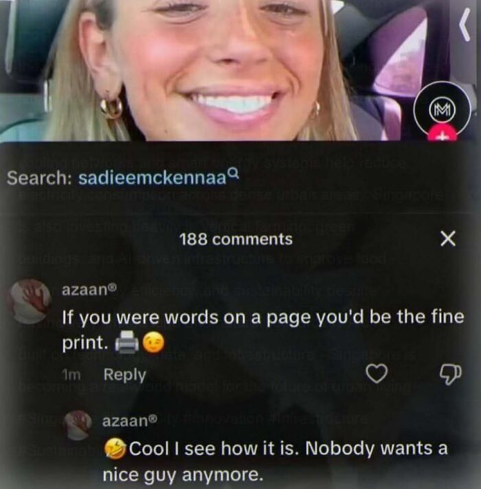 Screenshot of TikTok comments about being the fine print in words