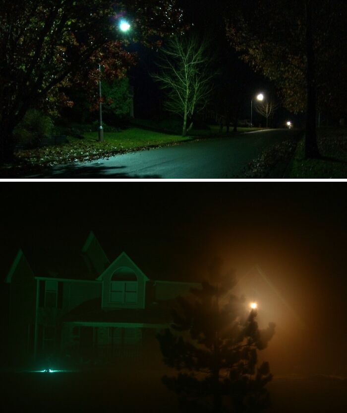Dimly lit outdoor scene with trees and streetlights evoking eerie Backrooms vibe
