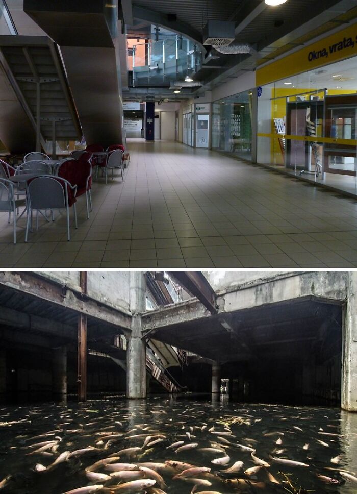 Empty mall corridor under staircase showing first 50 levels concept