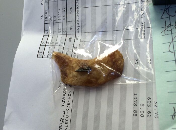 Piece of food with sharp metal nail inside showing risky survival situation