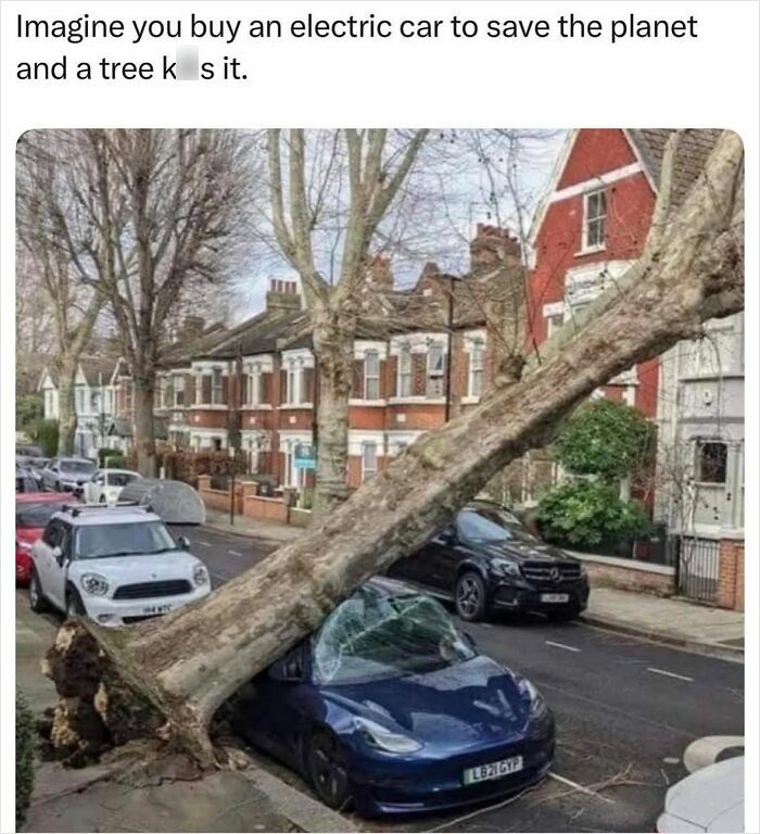 Tree falls on an electric car parked on a residential street