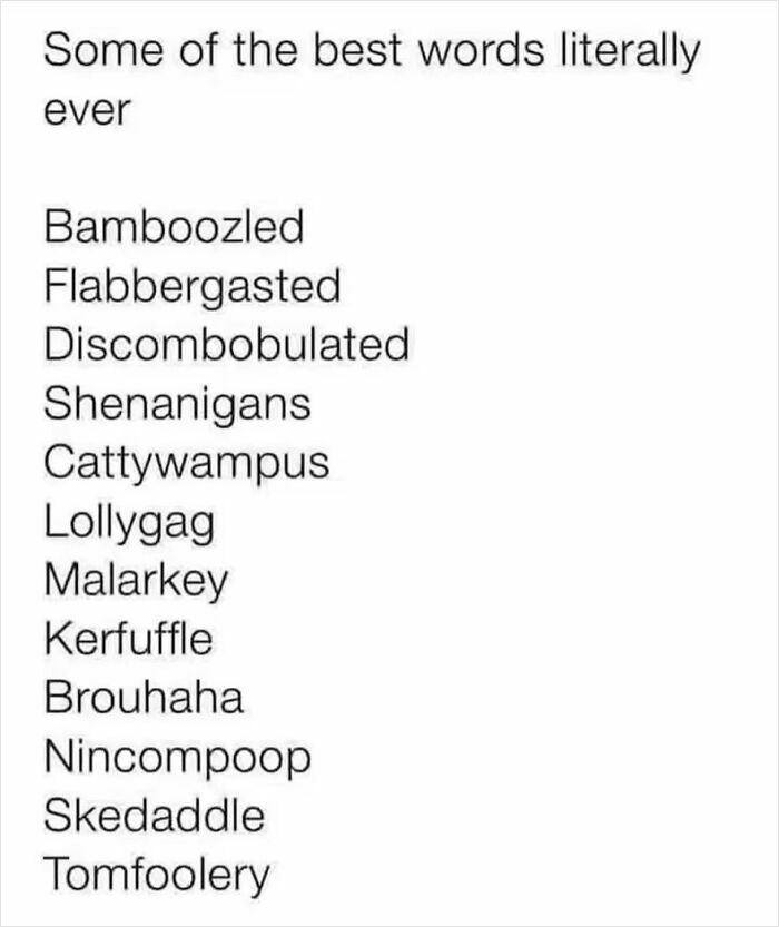 List of funny godless comments including whimsical words like bamboozled and shenanigans