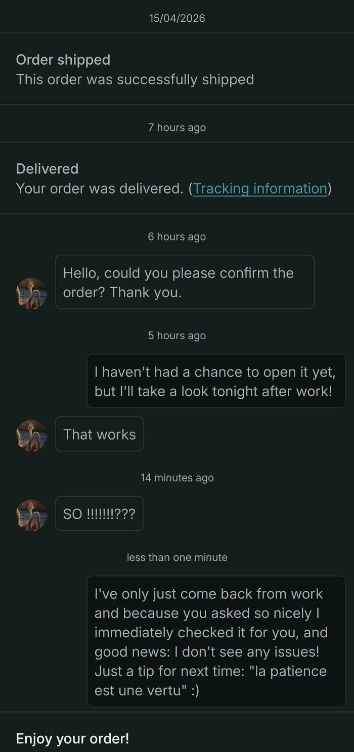 Vinted order shipped and delivered conversation showing buyer impatience