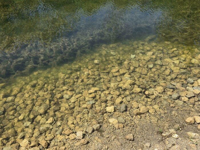 Clear water over rocky lakebed showing underwater stones