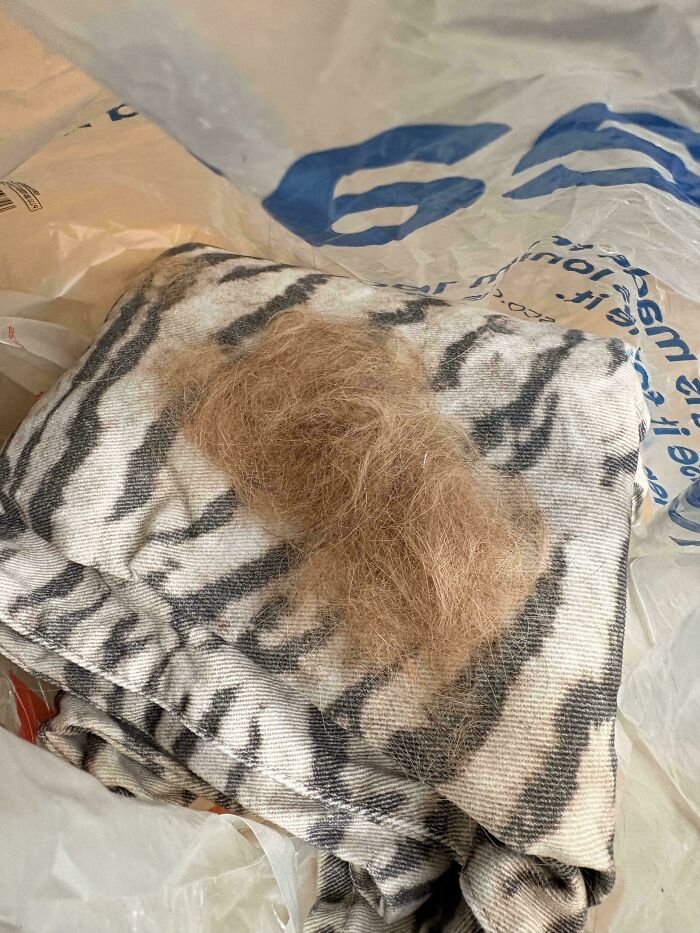 Clothing item covered with hair listed on Vinted, highlighting next-level stupidity