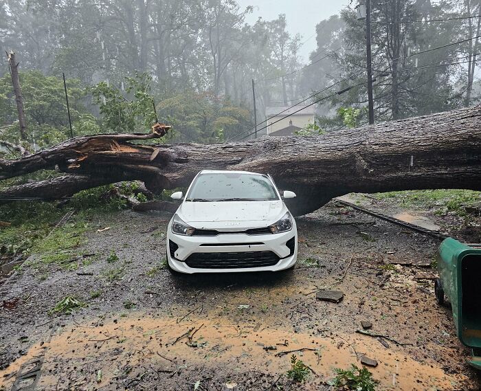 Large fallen tree lying across a car blocking the road in risky situation