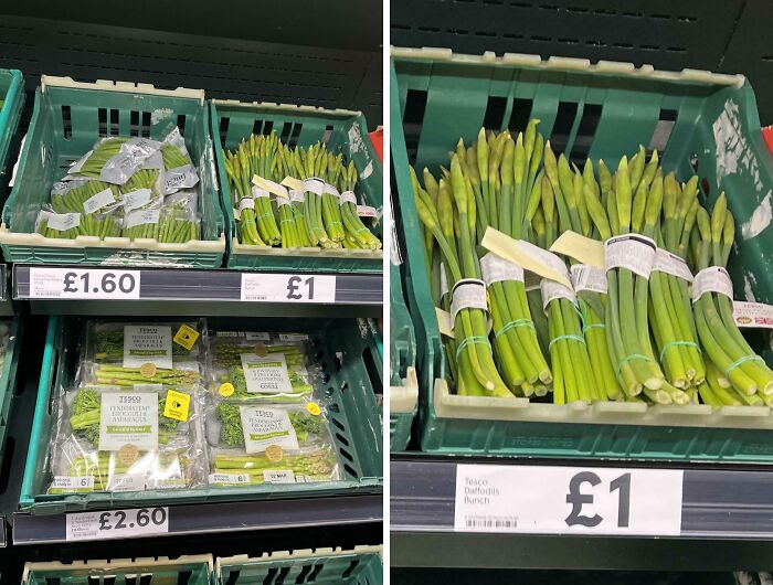 Supermarket bunches of daffodil stems priced one pound