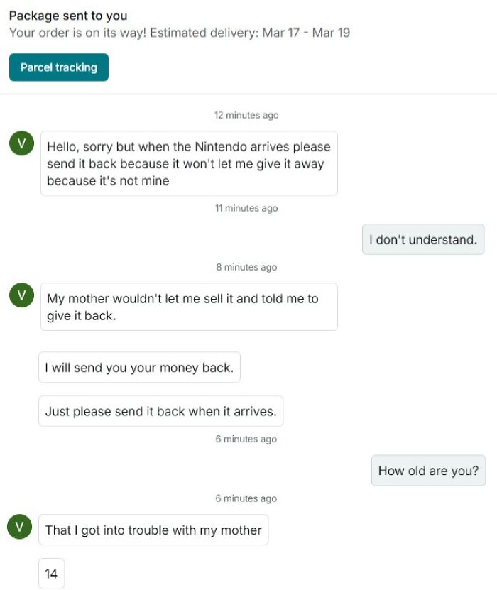 Conversation about sending back Nintendo after purchase on Vinted