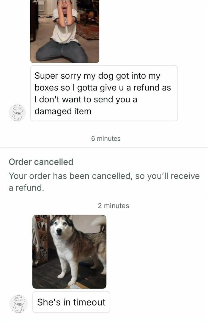 Vinted message explaining order cancellation due to dog damaging boxes with photo of dog