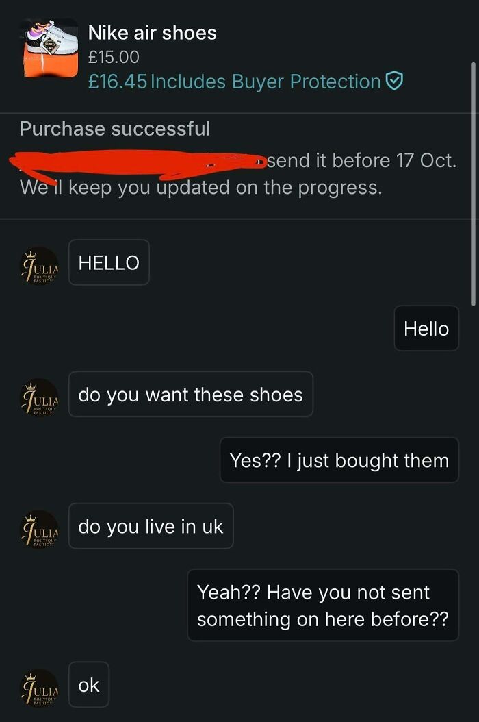 Buyer confused after purchasing Nike air shoes on Vinted chat