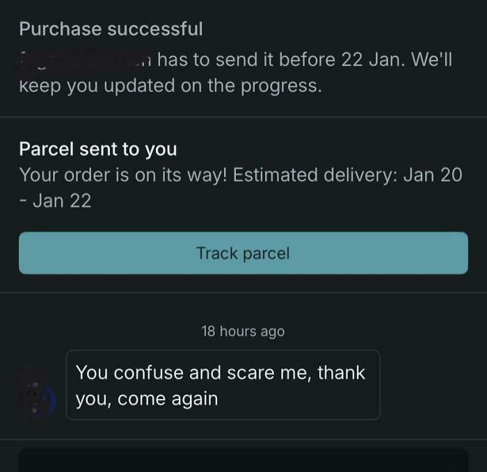 Screenshot of Vinted purchase confirmation with buyer message confusing seller