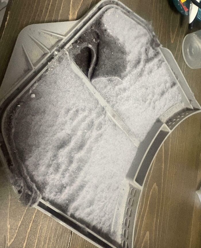 Dust-covered air filter indicating poor maintenance risk