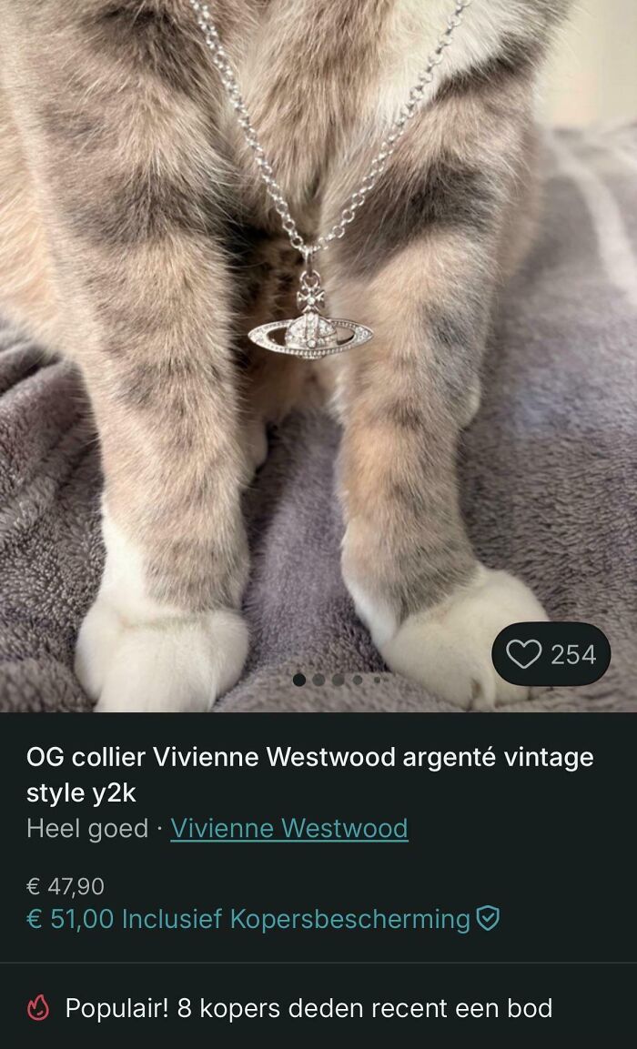 Close-up of cat wearing Vivienne Westwood vintage style necklace listed on Vinted