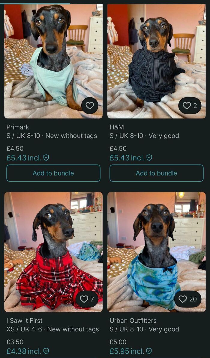 Photos show a dog modeling clothing items listed on Vinted