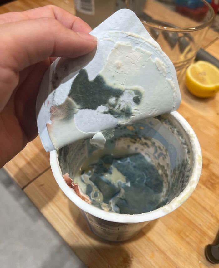 Person lifting moldy spoiled yogurt lid from container