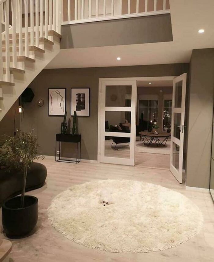 White fluffy circular rug with hidden small white dog in modern room
