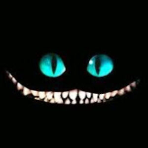 andrewduckett avatar