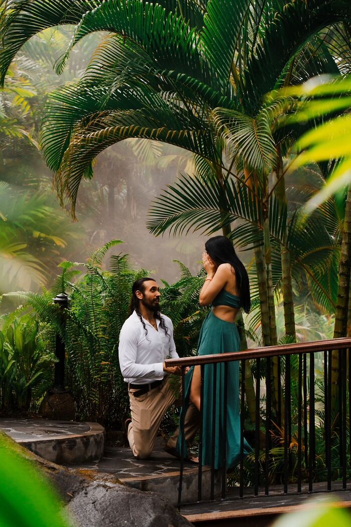 A man proposes to a surprised woman in a lush, misty tropical setting. This image captures a heartwarming engagement story.