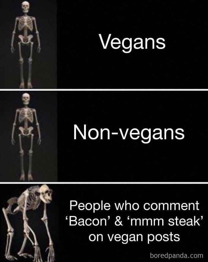 Funny memes for vegans. Skeletons for vegans and non-vegans, and a monkey for those commenting 'bacon' or 'steak'.