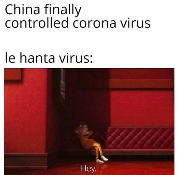 Hantavirus-Memes-Tweets-Reactions