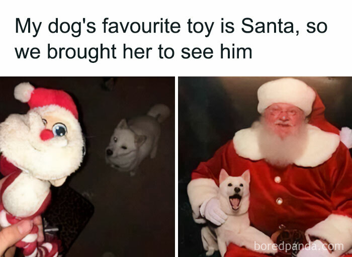 Dog and Santa photo showing dog meeting favorite toy Santa