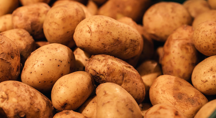 Pile of raw artisinal potatoes closeup