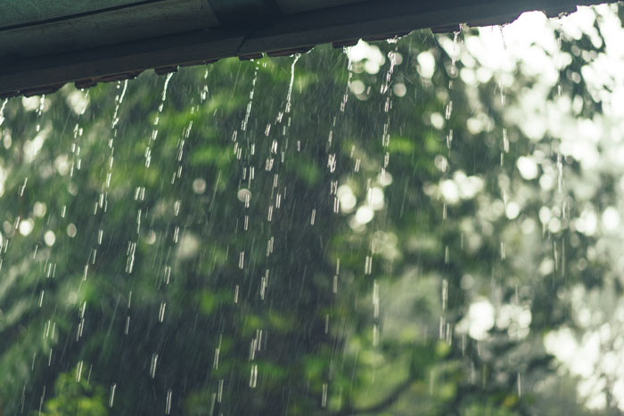 Rain pouring off roof with blurred green foliage in background