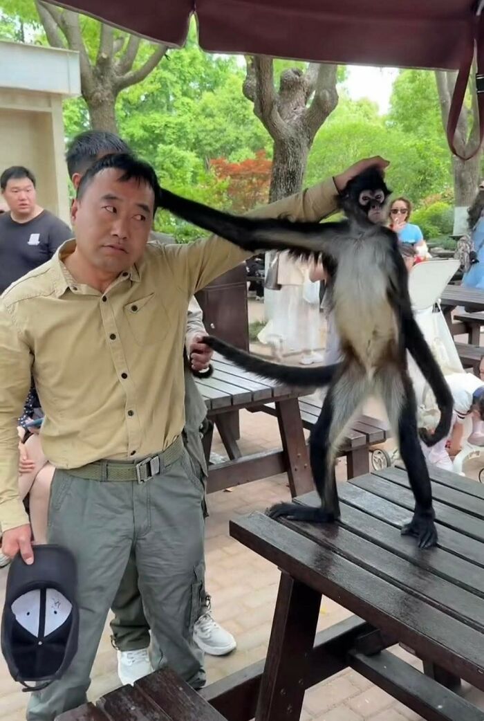 These Important Animal Pics Are Here To Make Your Day A Little Better (37 New Pics)