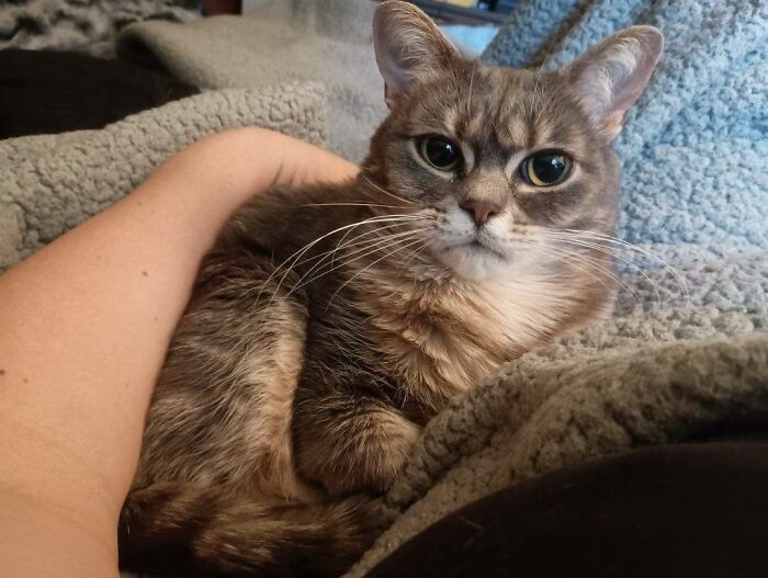 48 Weird Pets That Got Absolutely Roasted Online And Deserved Every Word