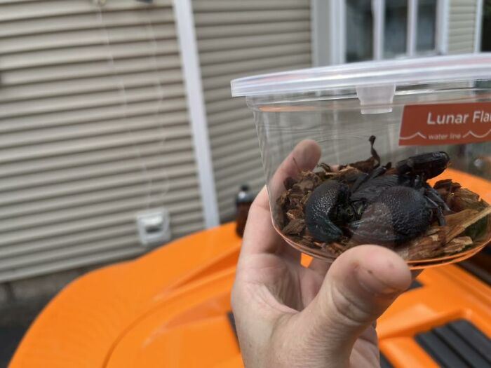 48 Weird Pets That Got Absolutely Roasted Online And Deserved Every Word