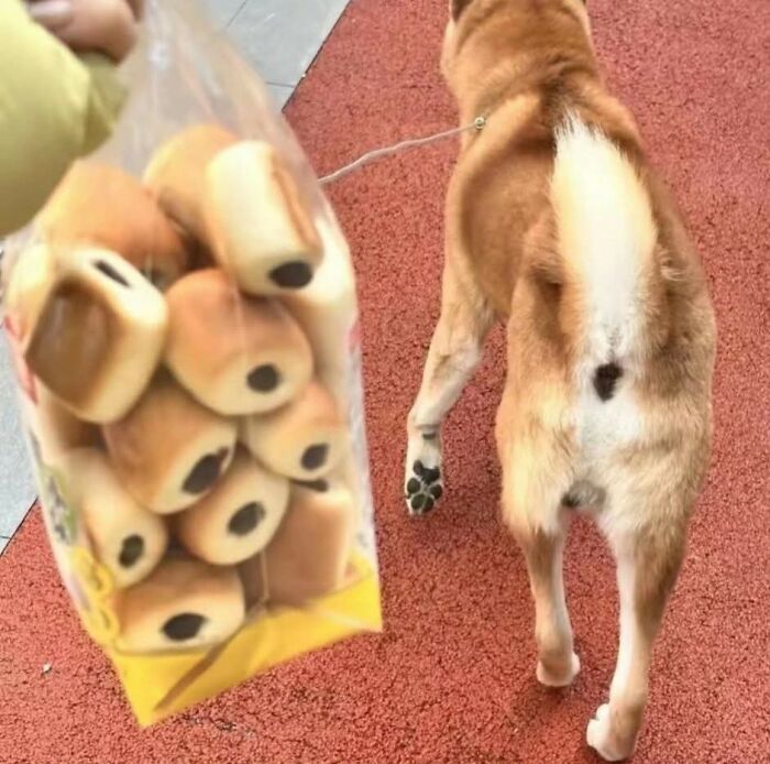 These Important Animal Pics Are Here To Make Your Day A Little Better (37 New Pics)