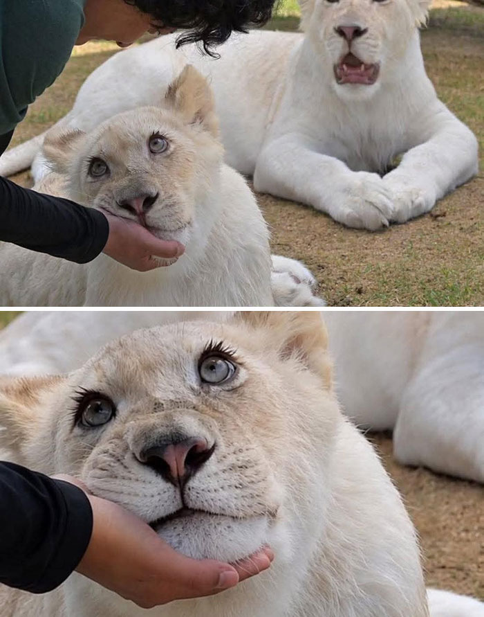 These Important Animal Pics Are Here To Make Your Day A Little Better (37 New Pics)