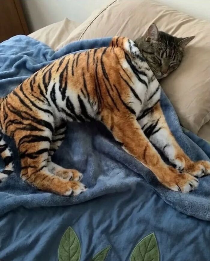These Important Animal Pics Are Here To Make Your Day A Little Better (37 New Pics)