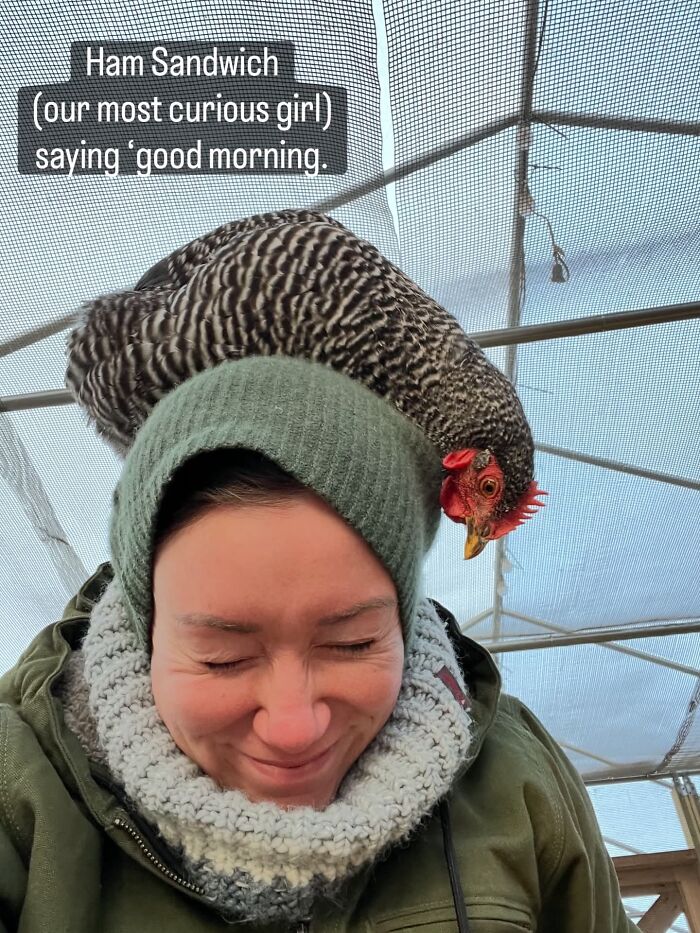 Woman with chicken on her head showing quirky morning routine quitting job