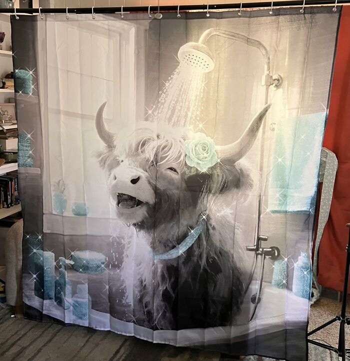 Highland Cow Shower Curtain