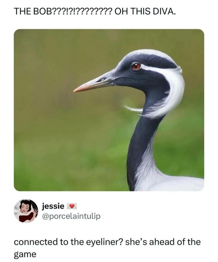 Wholesome-Memes-Memeuplift