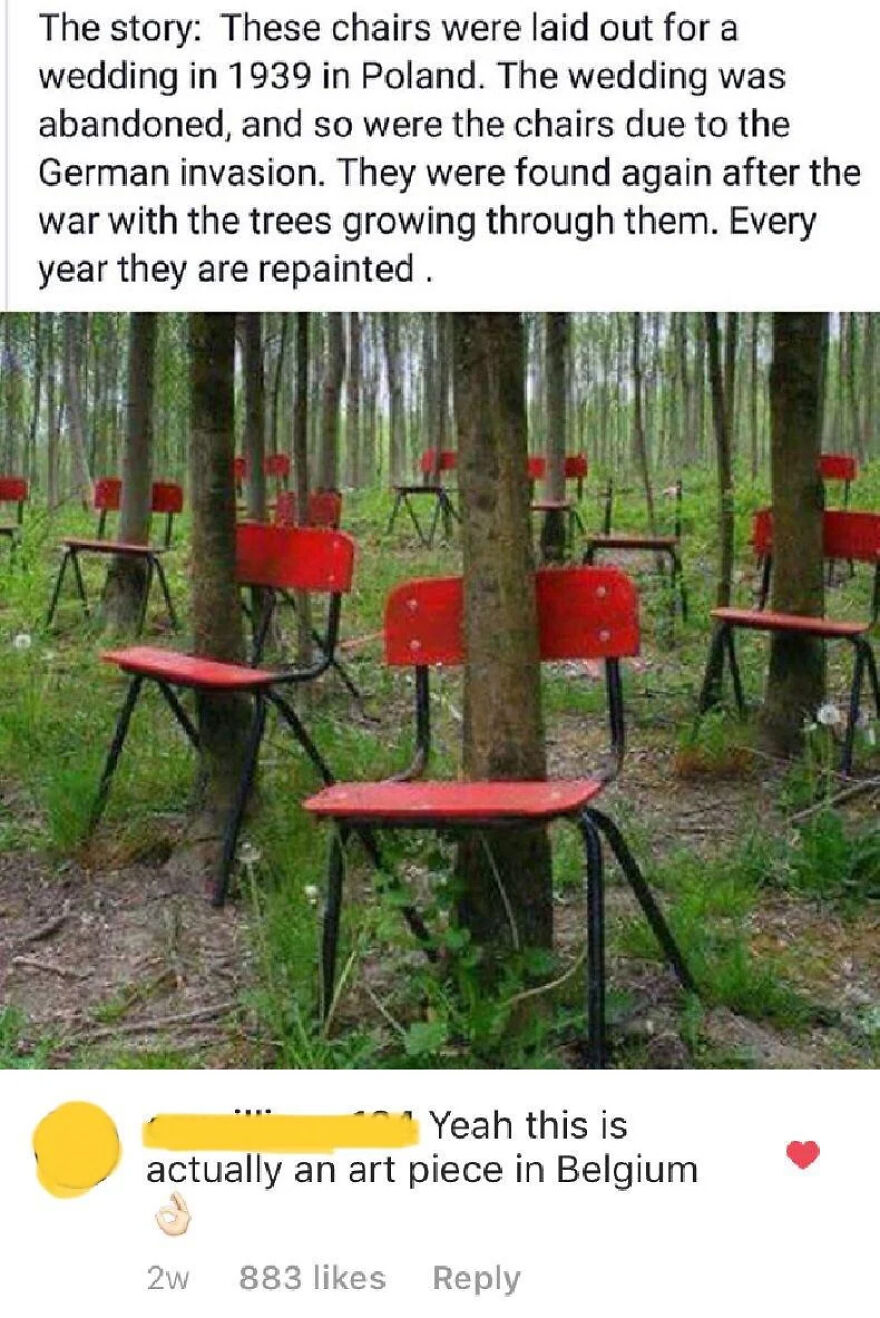 A forest scene where red chairs are intertwined with growing trees, creating an art piece. A comment reveals a lie.