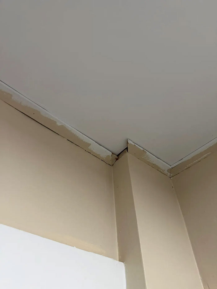 Poorly installed crown molding where two pieces meet at an inner corner. This expensive contractor work is horrific.