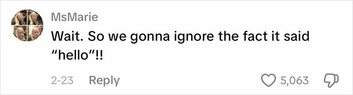 Viral Video Makes People Lose Their Minds, Everyone Fights Over What The "Creature" In It Is Viral Video Makes People Lose Their Minds, Everyone Fights Over What The "Creature" In It Is