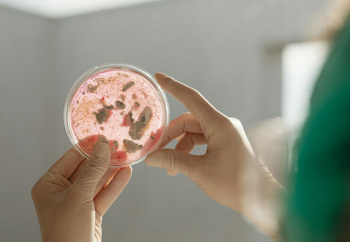 Hands holding petri dish with bacterial culture and science facts