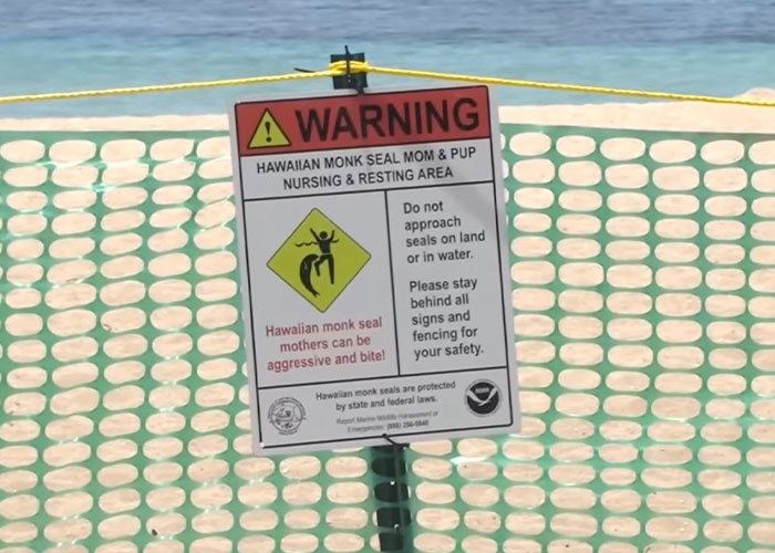 Warning sign about Hawaiian monk seal nursing area and safety rules