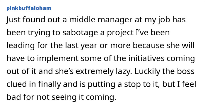 Office drama story about middle manager sabotaging project due to laziness and boss intervention