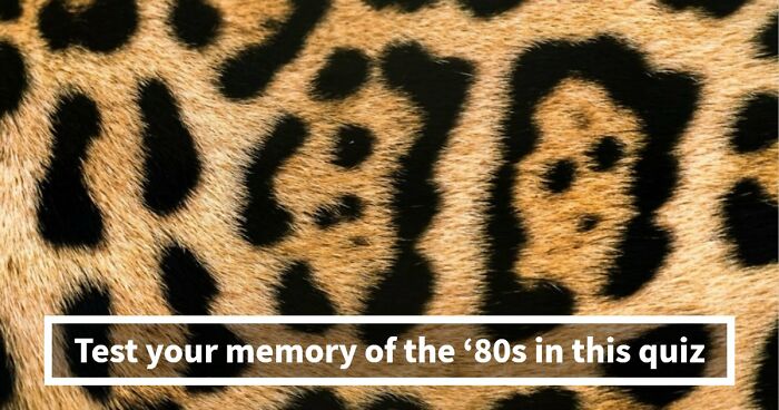 “Are You Truly An ’80s Pop Culture Fan?”: Prove It By Passing This 18-Question Test