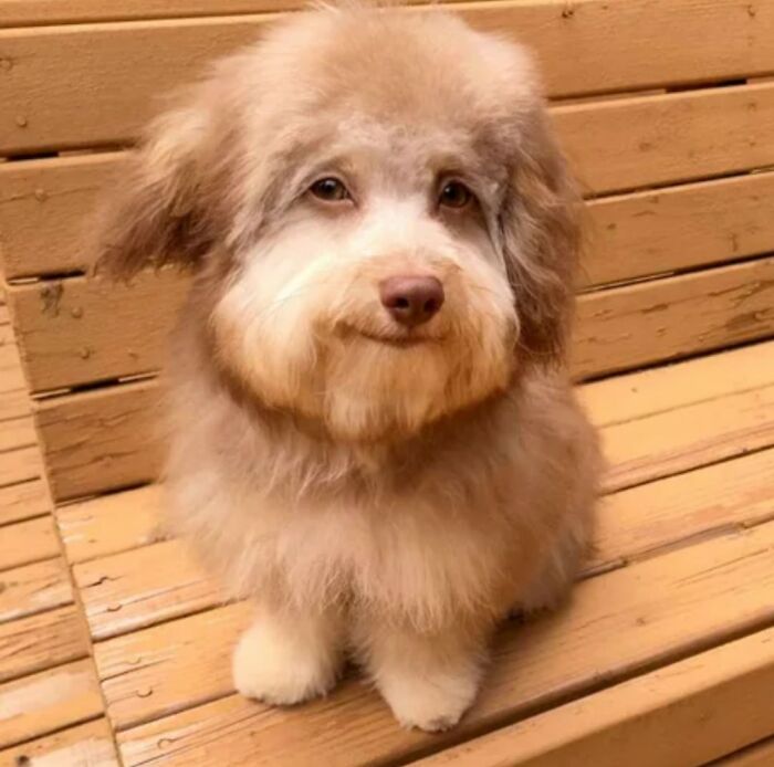 These Important Animal Pics Are Here To Make Your Day A Little Better (37 New Pics)