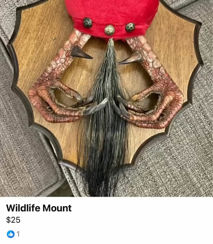 Mounted wildlife display featuring animal feet and tail with red fabric