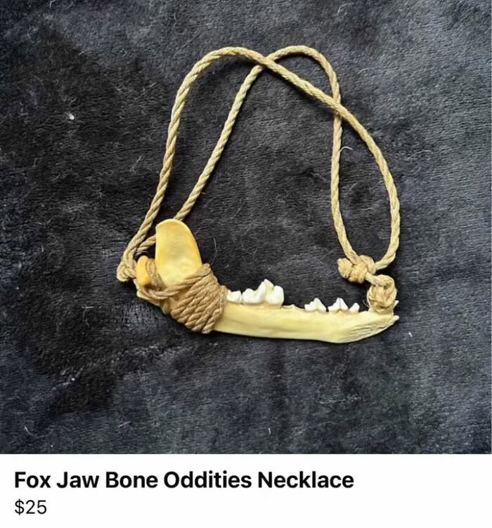 Fox jaw bone oddities necklace with rope cord on black background