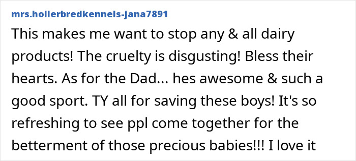 Comments on cruelty and rescue of dairy calves in Vermont story